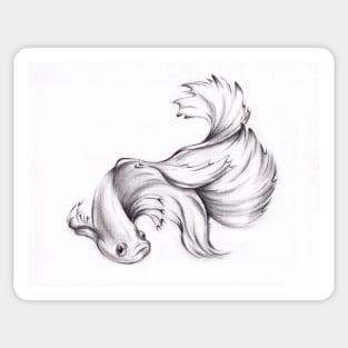 Aquatic Angel - Betta/Siamese Fighting Fish Charcoal Drawing Sticker